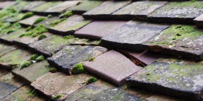 Polperro roof repair costs